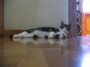 IMG_6635