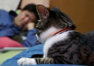 PICT0249