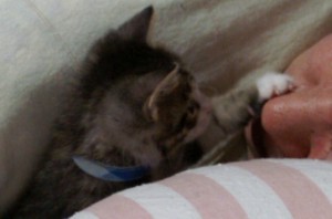 寝てる父ちゃんを起こそうとするオスカー君