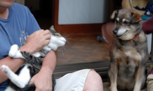 キャプチャ 2006-07_108
