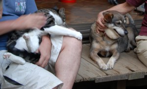 キャプチャ 2006-07_109