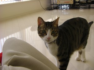 CIMG0955