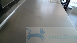 P1000308
