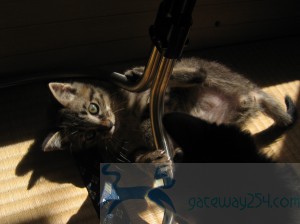 IMG_3569