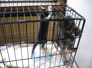 IMG_3697
