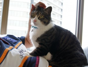 SONY DSC