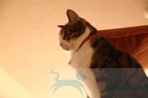 IMG_6516_resize